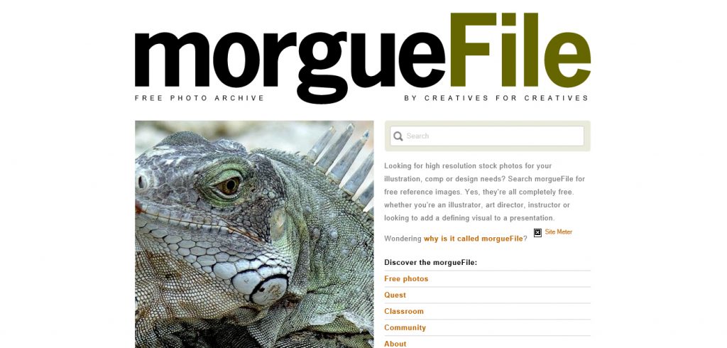 Morgue File Iguana Images
