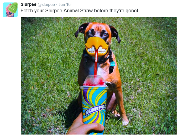 Slurpee Dog Straw Funny